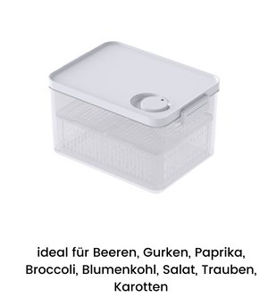 Die DATEMATE Frischhaltebox KLAR Weiss mit Haltbarkeits-Timer von BNB x VCN bietet stapelbares Design, weißen Deckel, verstellbare Belüftung und ist ideal zur Aufbewahrung von Beeren, Gurken, Paprika, Brokkoli, Blumenkohl, Salat, Trauben & Karotten.