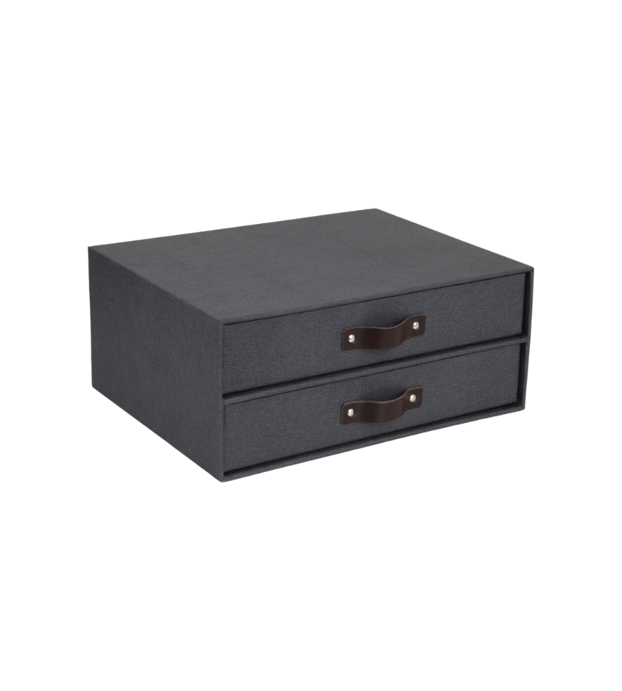 Schwarzer Aufbewahrungsbehälter mit zwei Schubladen und braunen Griffen, ohne Umgebungsdetails.